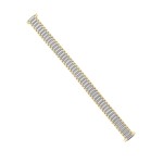 9-13mm Two-tone Straight Spring End-Expansion Band