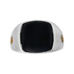 Gents 7.300 Ctw Onyx Ring / Silver & 18 Kt.
