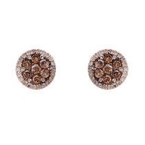 Brown & White Diamond Cluster Earrings / 14 Kt W
